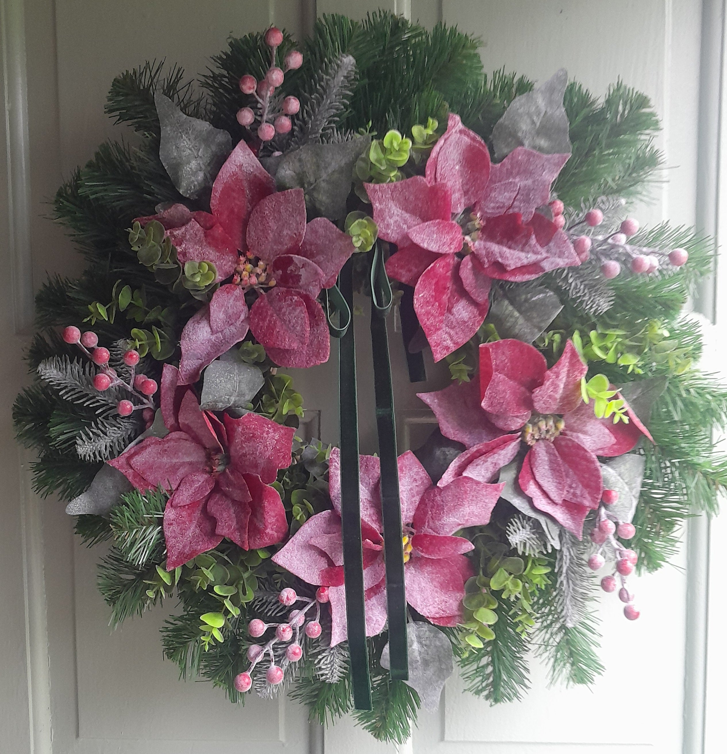 "XL Frosted Poinsettia 65-70cm Collection Only"