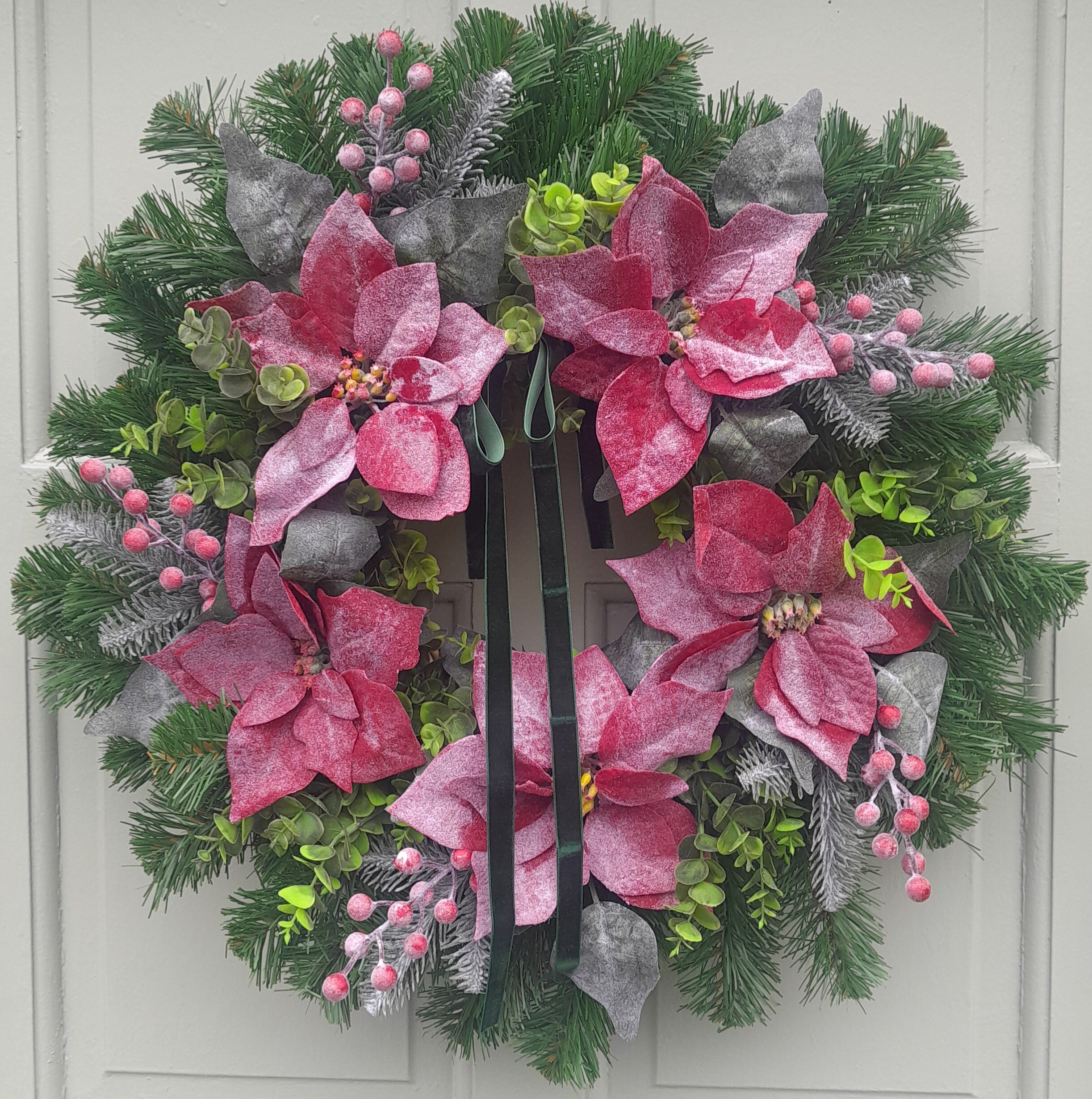 "XL Frosted Poinsettia 65-70cm Collection Only"