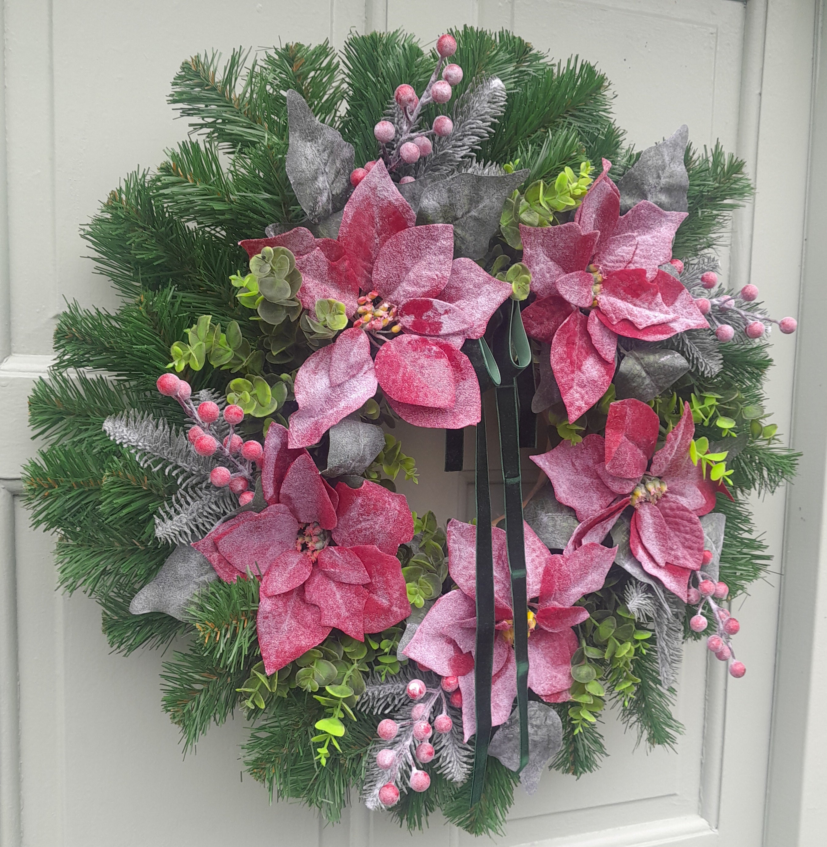 "XL Frosted Poinsettia 65-70cm Collection Only"