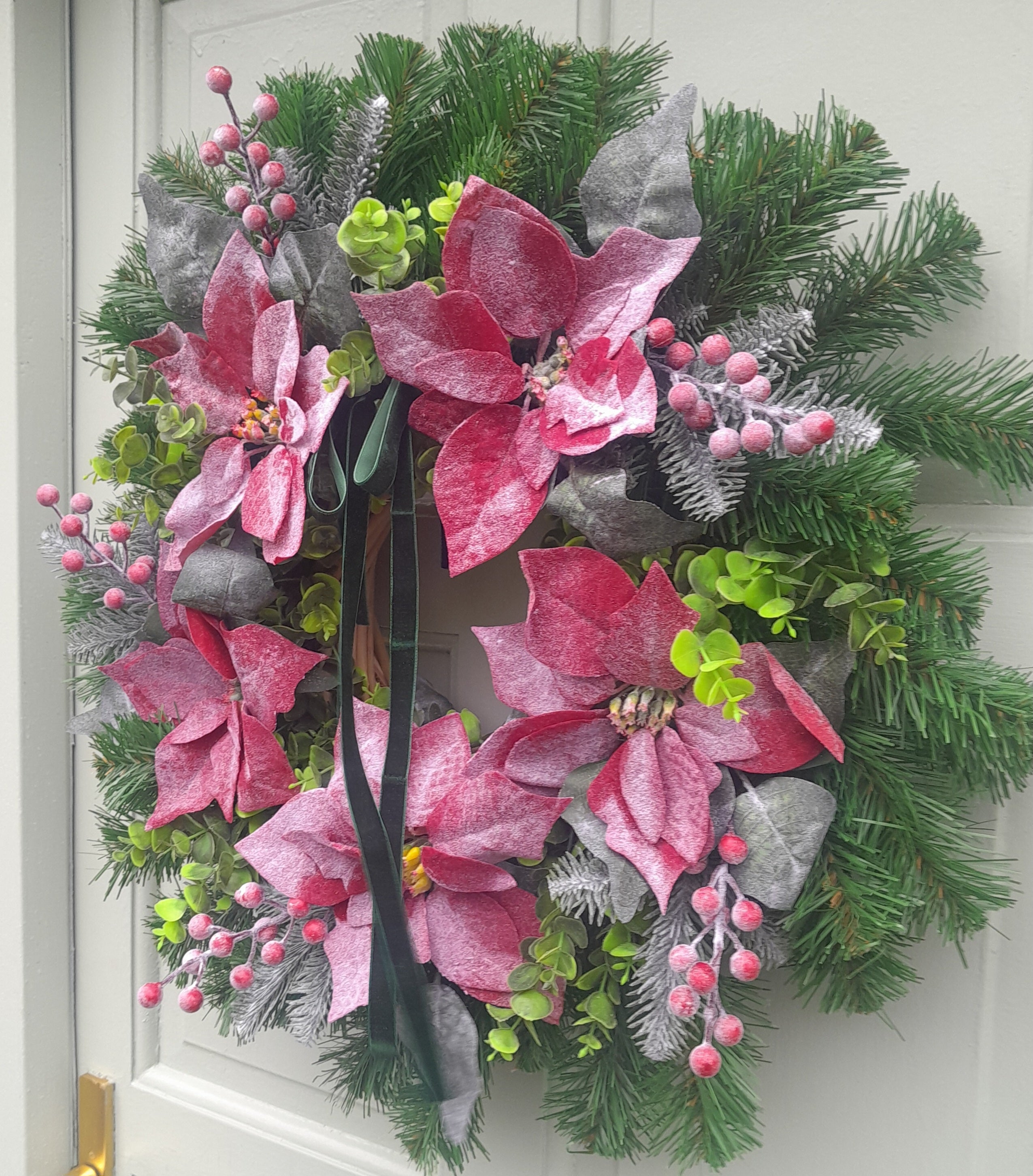 "XL Frosted Poinsettia 65-70cm Collection Only"