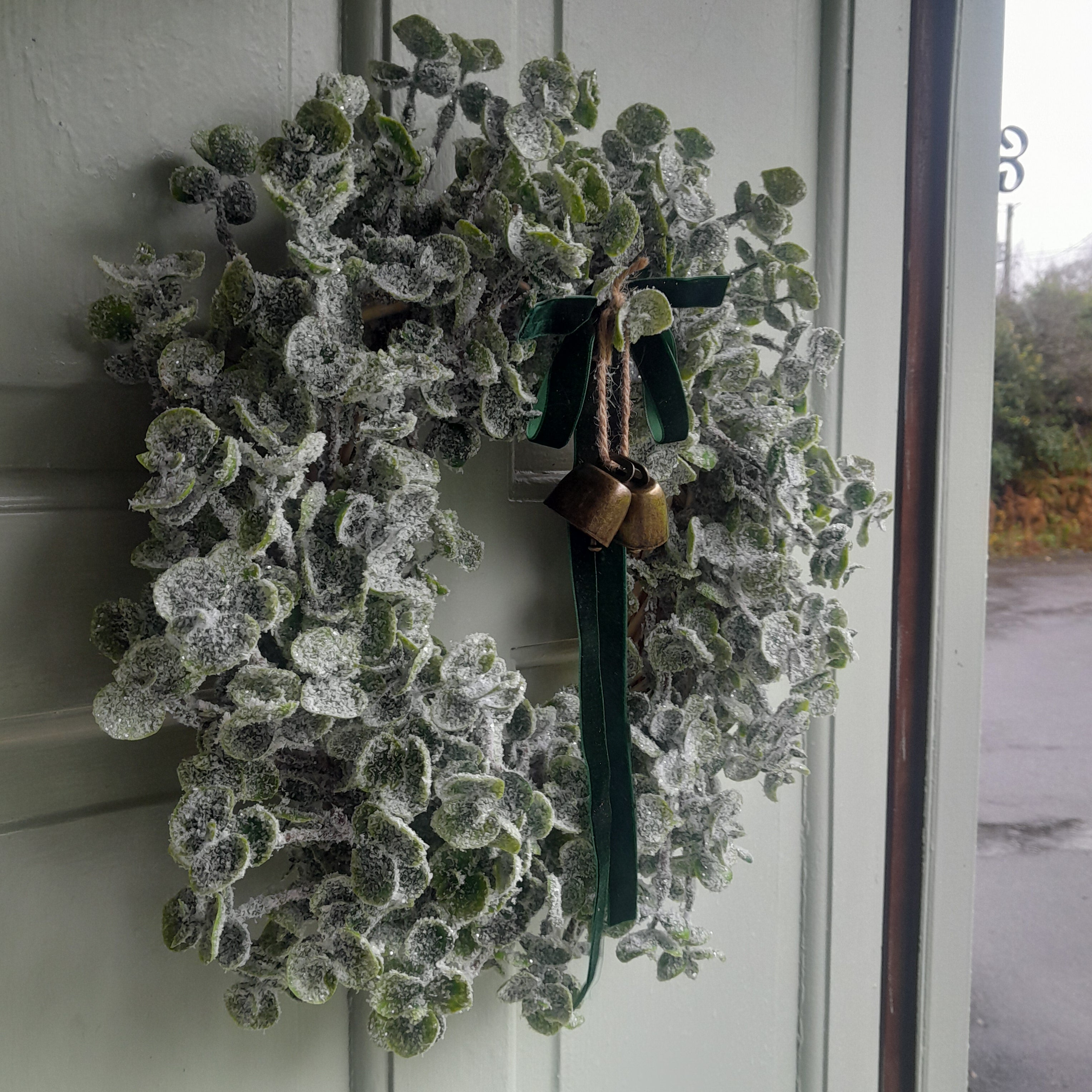 "Frosted Eucalyptus"