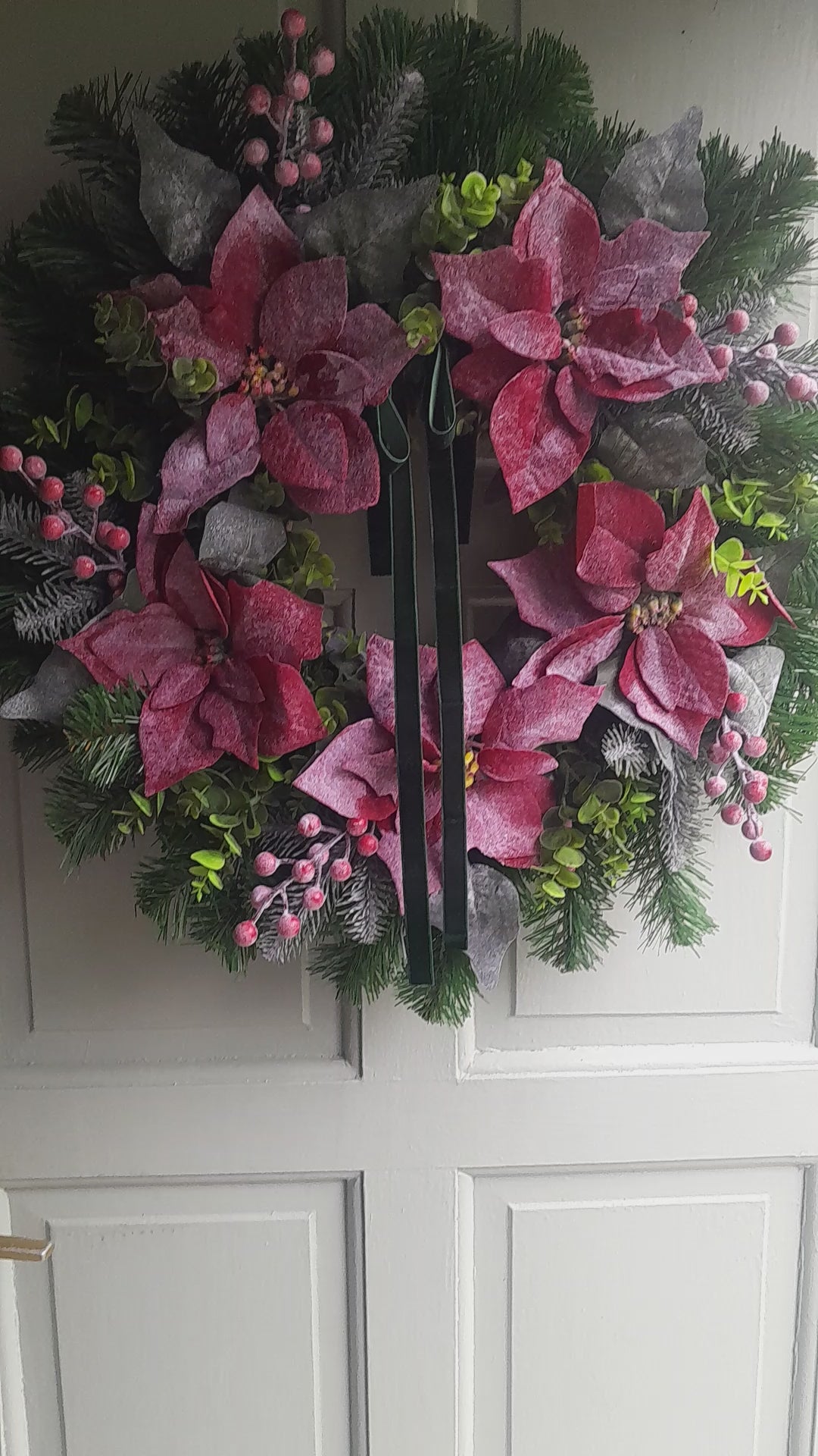 "XL Frosted Poinsettia 65-70cm Collection Only"
